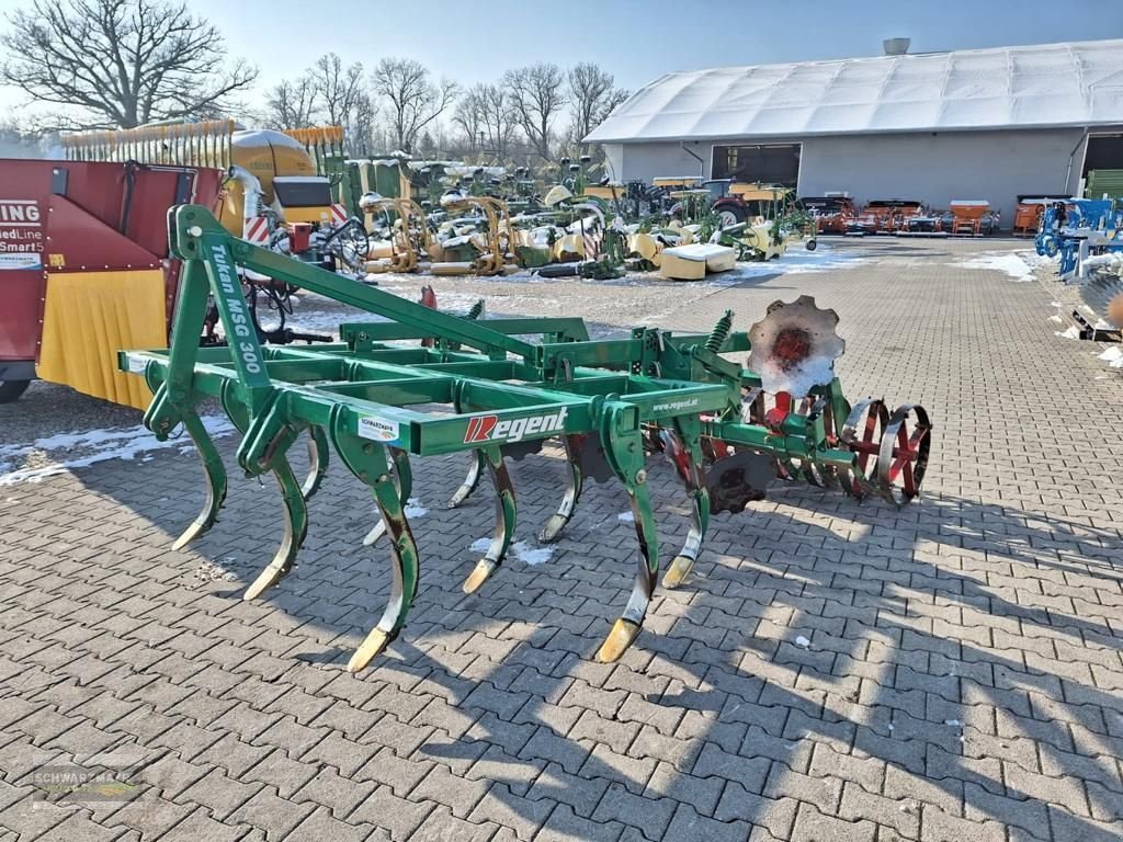 Grubber a típus Regent MSG 300 Tukan, Gebrauchtmaschine ekkor: Gampern (Kép 2)