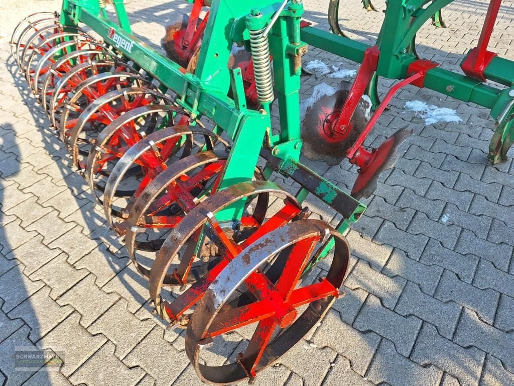 Grubber a típus Regent MSG 300 Tukan, Gebrauchtmaschine ekkor: Gampern (Kép 8)