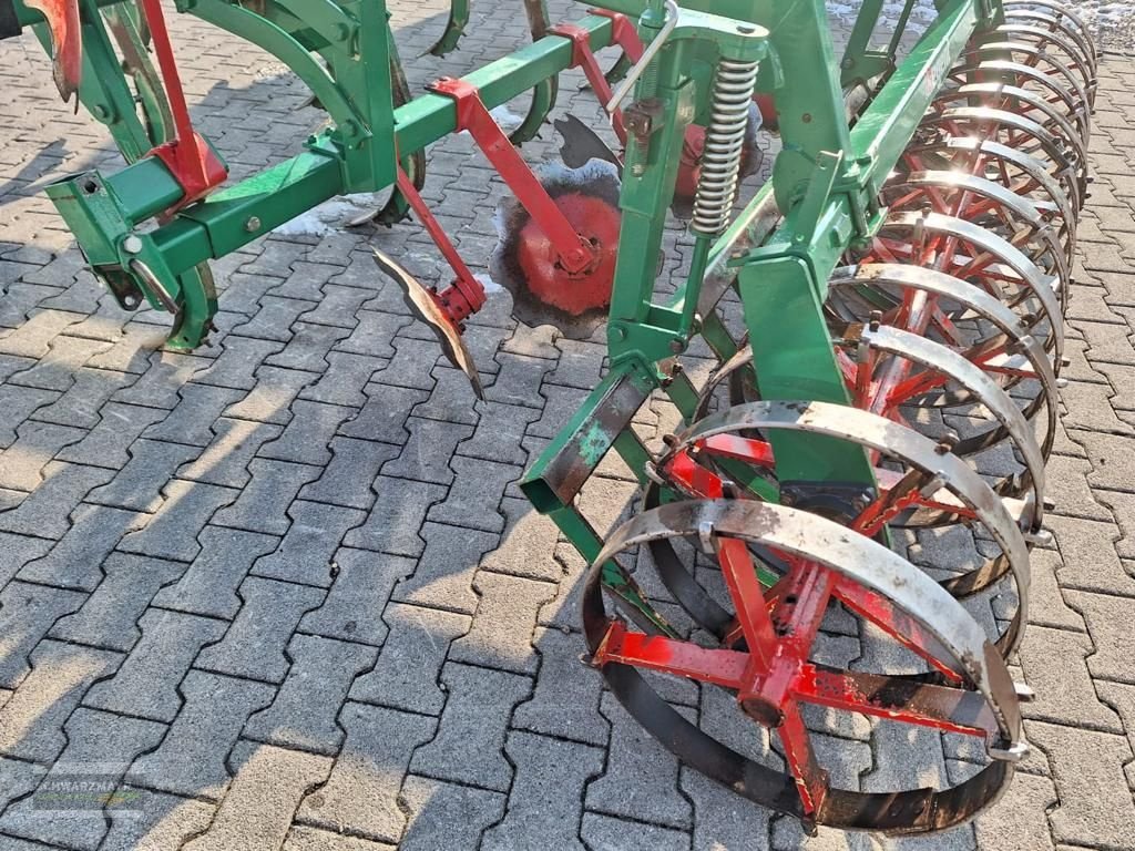 Grubber a típus Regent MSG 300 Tukan, Gebrauchtmaschine ekkor: Gampern (Kép 9)