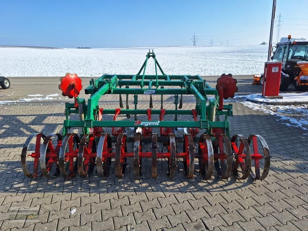 Grubber a típus Regent MSG 300 Tukan, Gebrauchtmaschine ekkor: Gampern (Kép 7)