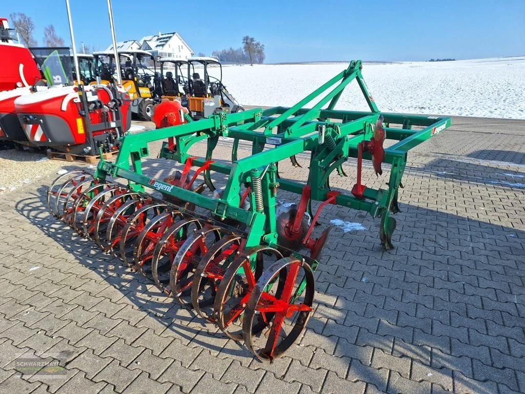 Grubber a típus Regent MSG 300 Tukan, Gebrauchtmaschine ekkor: Gampern (Kép 4)