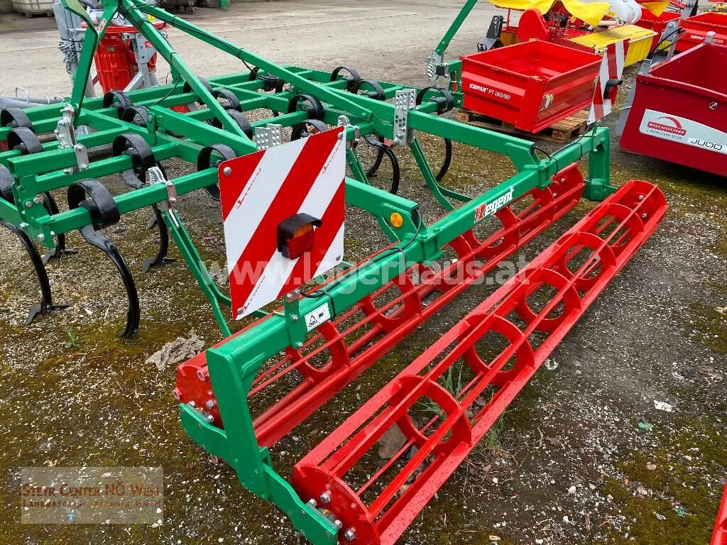 Grubber del tipo Regent TERRAKAN 3000, Neumaschine en Purgstall (Imagen 2)