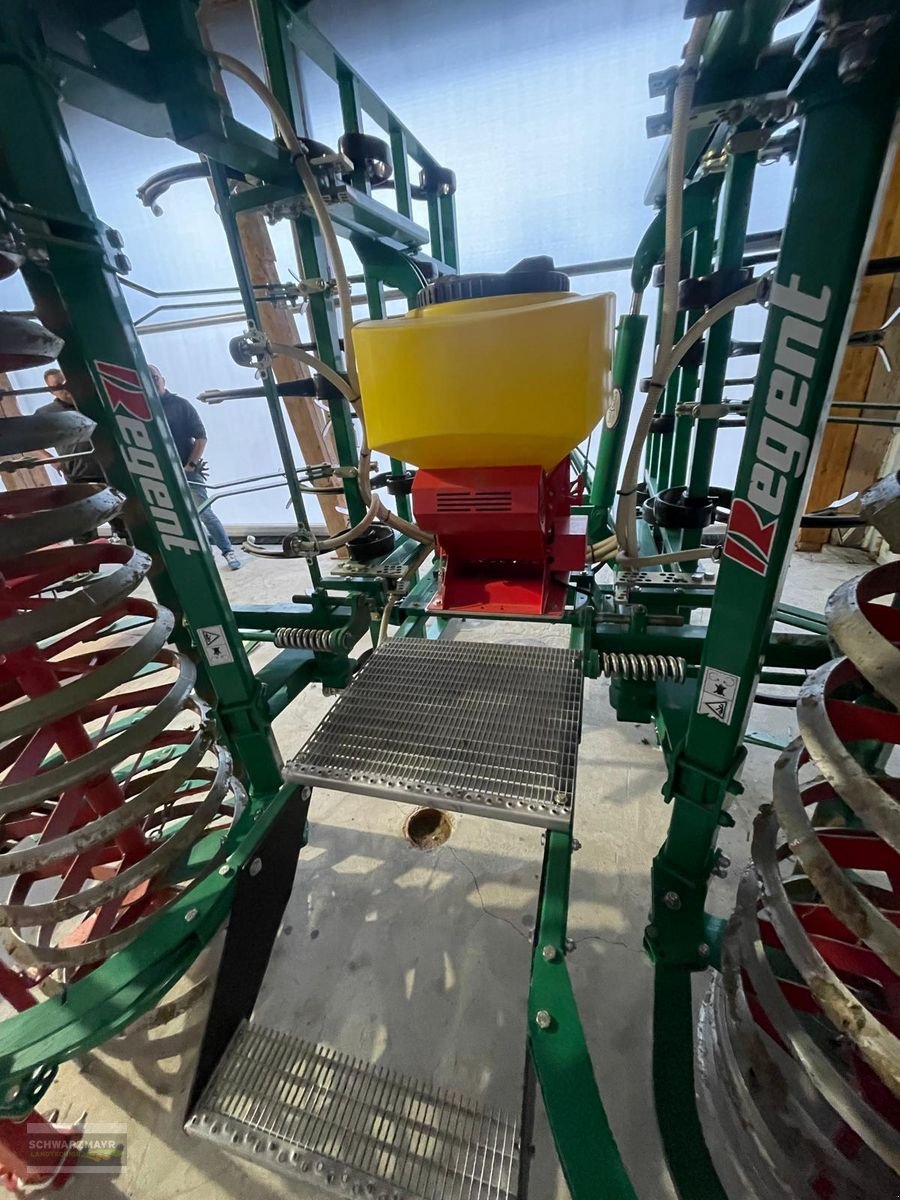 Grubber tipa Regent Terrakan  5000, Gebrauchtmaschine u Aurolzmünster (Slika 6)