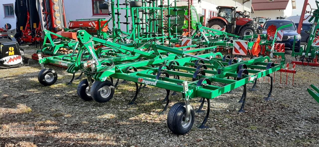 Grubber del tipo Regent Terrakan 6000 R 6 Bio, Neumaschine In Wlpertskirchen (Immagine 1)