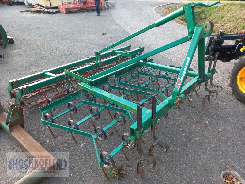 Grubber des Typs Regent Terrastar 250, Gebrauchtmaschine in Wies (Bild 1)
