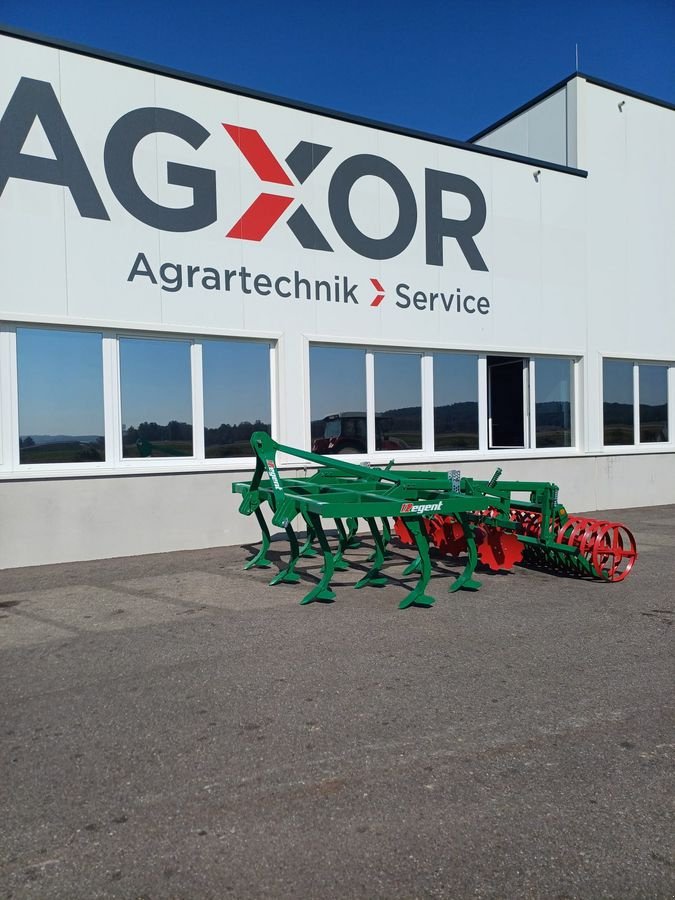 Grubber of the type Regent TUKAN MSG 300, Gebrauchtmaschine in Harmannsdorf (Picture 1)