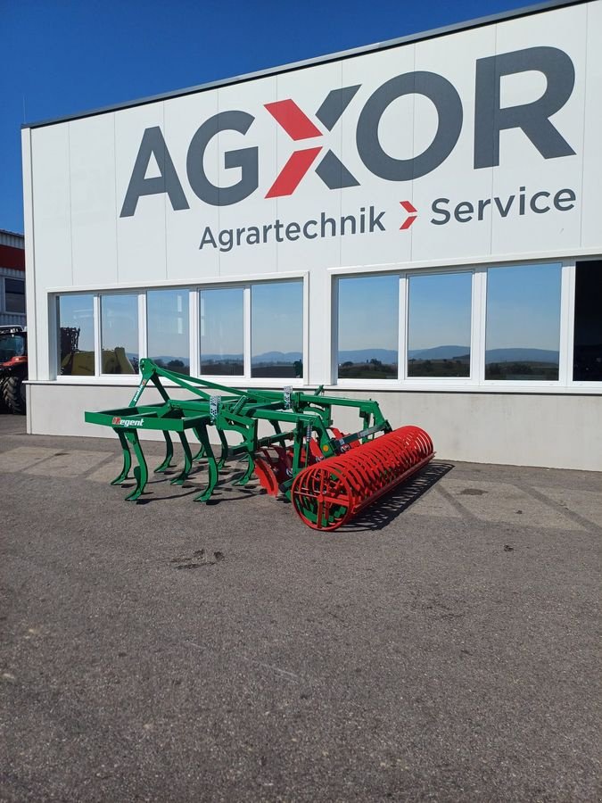 Grubber of the type Regent TUKAN MSG 300, Gebrauchtmaschine in Harmannsdorf (Picture 7)