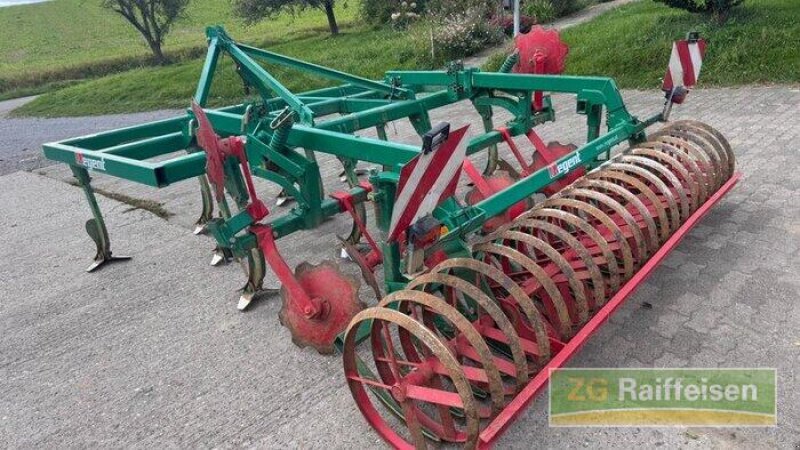 Grubber of the type Regent Tukan MSG-300, Gebrauchtmaschine in Bruchsal (Picture 3)