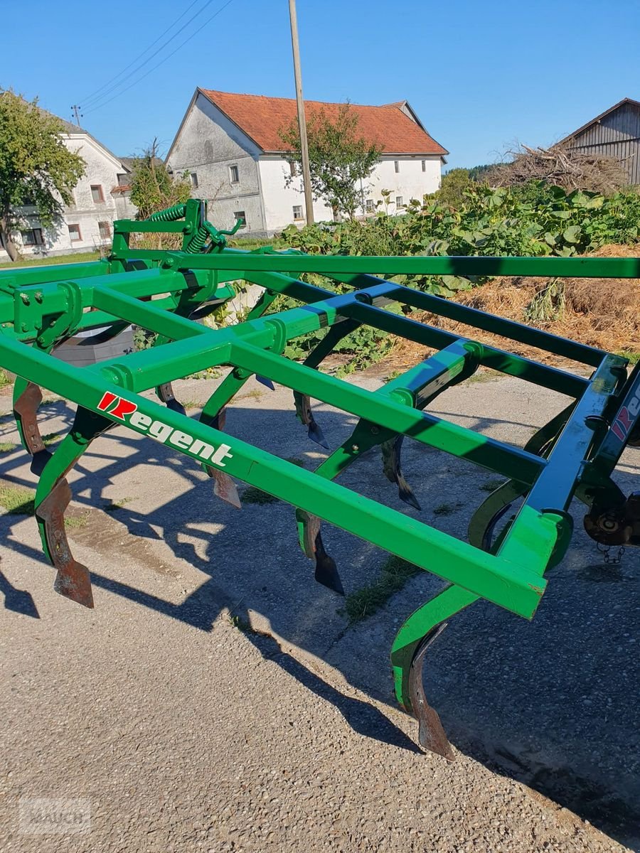 Grubber типа Regent Tukan, Gebrauchtmaschine в Burgkirchen (Фотография 6)