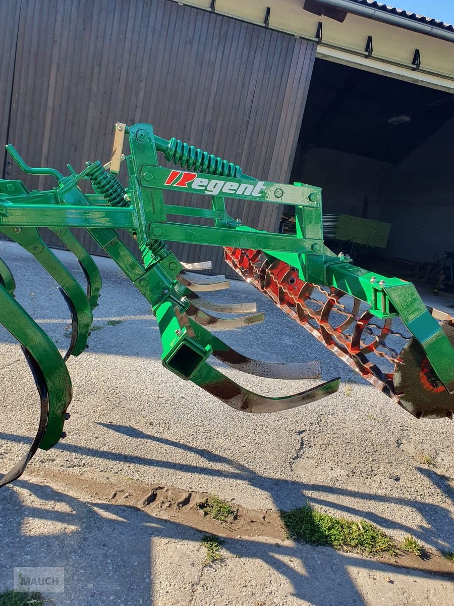 Grubber типа Regent Tukan, Gebrauchtmaschine в Burgkirchen (Фотография 7)
