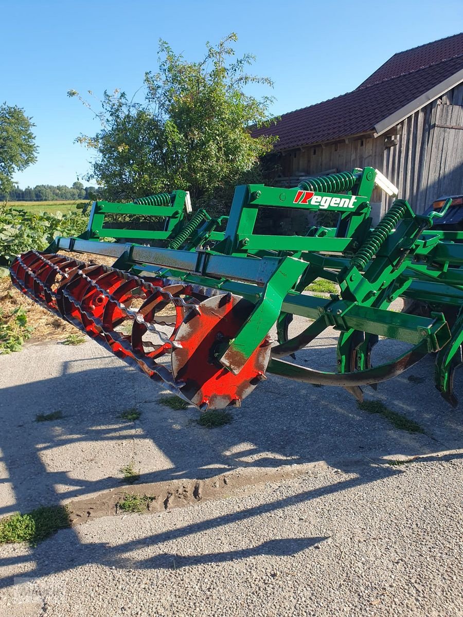 Grubber типа Regent Tukan, Gebrauchtmaschine в Burgkirchen (Фотография 5)