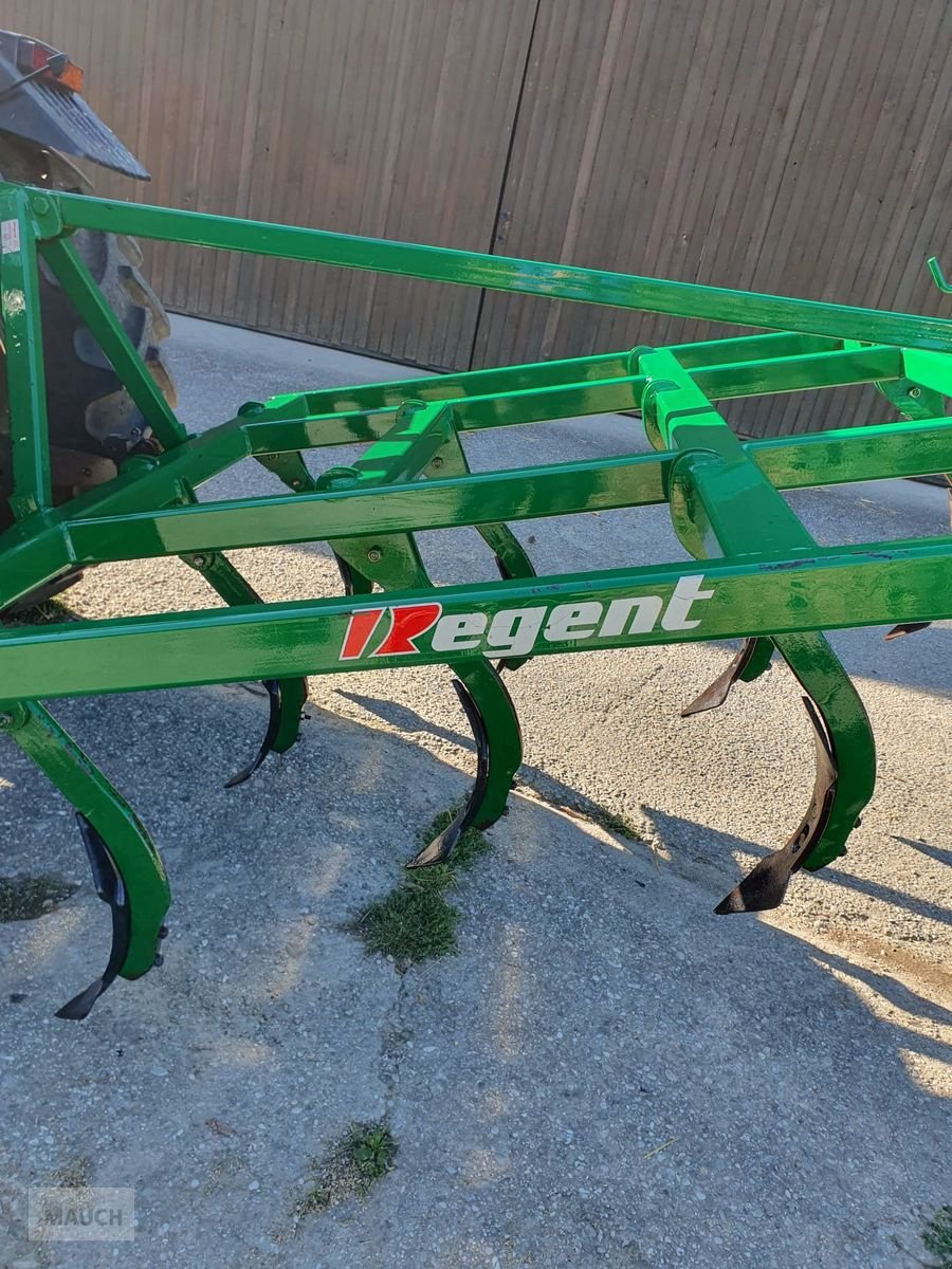 Grubber типа Regent Tukan, Gebrauchtmaschine в Burgkirchen (Фотография 3)