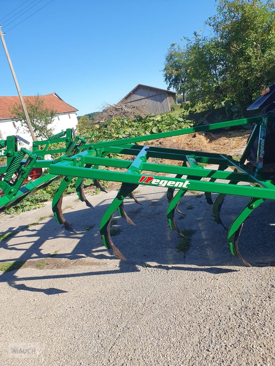 Grubber типа Regent Tukan, Gebrauchtmaschine в Burgkirchen (Фотография 1)