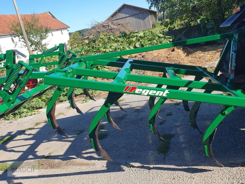 Grubber типа Regent Tukan, Gebrauchtmaschine в Burgkirchen (Фотография 1)