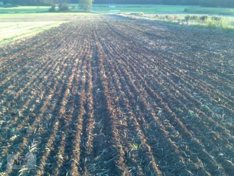 Grubber des Typs Rotoland TOP 3.0 S, Neumaschine in Bodenwöhr/ Taxöldern (Bild 3)