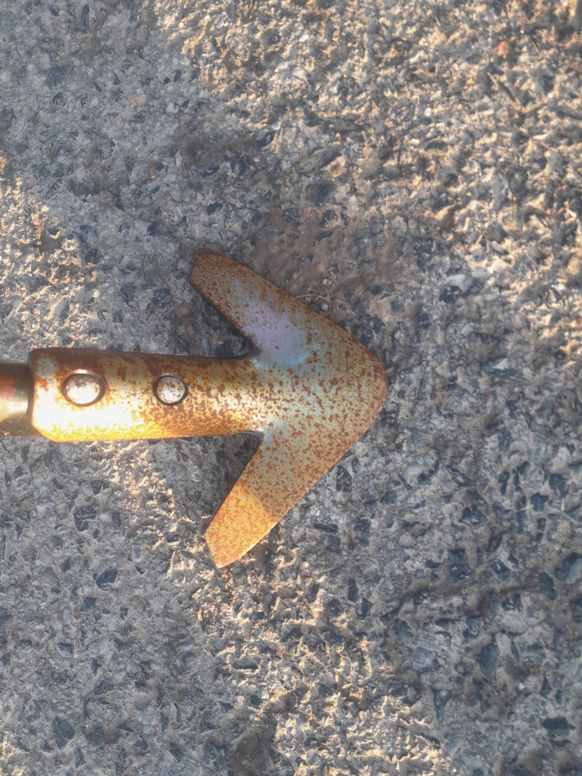 Grubber van het type Saphir AllStar 501 Longline, Gebrauchtmaschine in Creglingen (Foto 7)