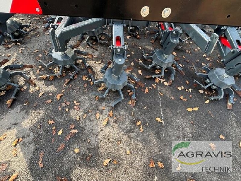 Grubber typu Saphir GRINDSTAR 600, Gebrauchtmaschine v Meppen (Obrázek 5)