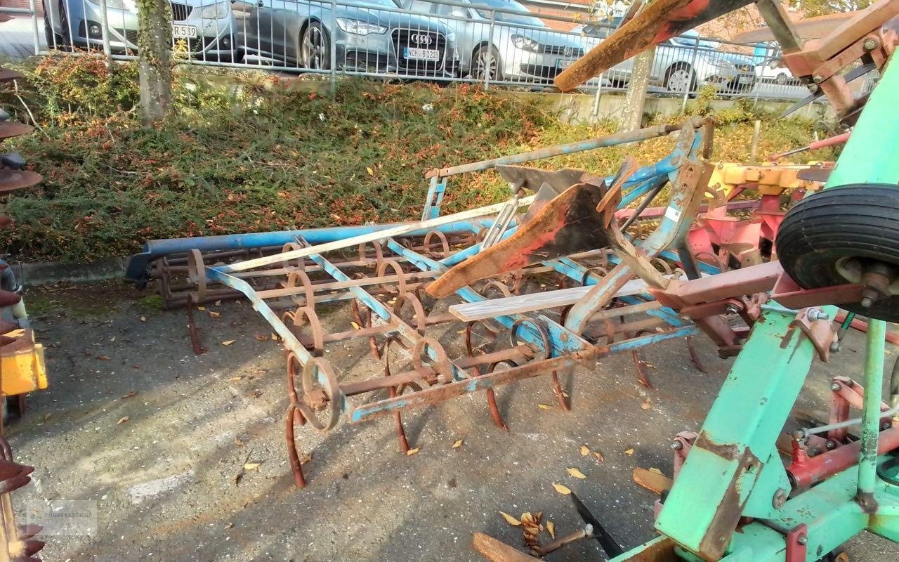 Grubber des Typs Sonstige 3m, Gebrauchtmaschine in Uelsen (Bild 3)