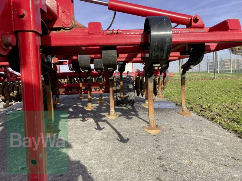 Grubber des Typs Sonstige Agrifarm AGRI FLEX 22 Z / 4M, Gebrauchtmaschine in Giebelstadt (Bild 8)