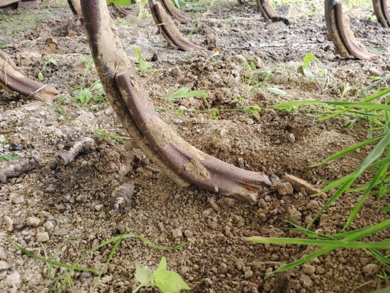 Grubber van het type Sonstige SENE, Gebrauchtmaschine in BRAY en Val (Foto 9)