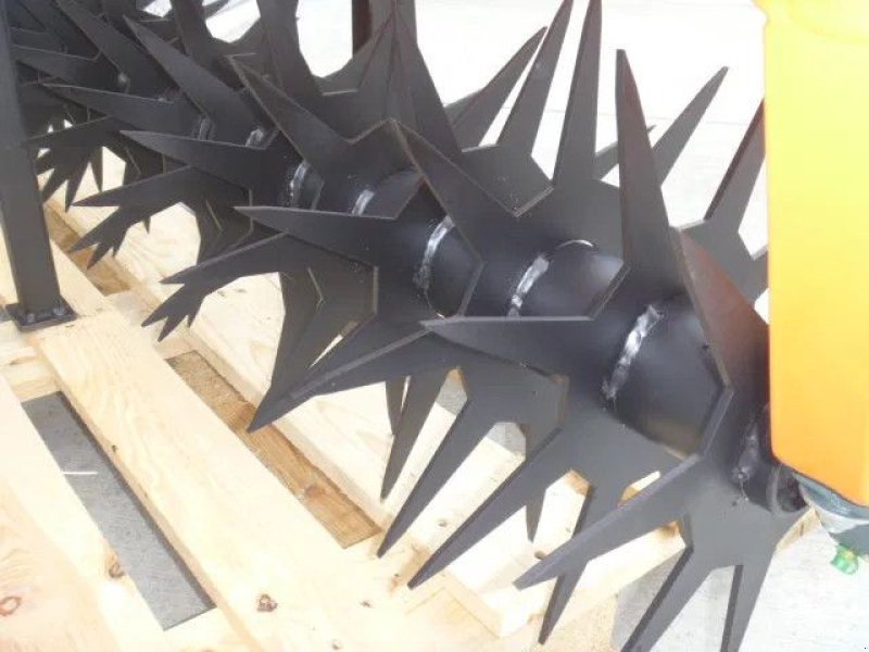 Grubber des Typs Sonstige Tarpan Pro Beluchter, Gebrauchtmaschine in Swifterband (Bild 5)