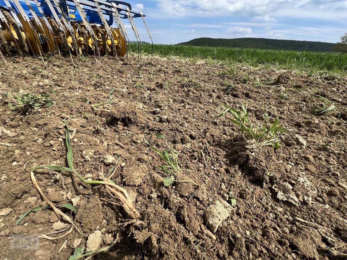 Grubber des Typs Treffler TG615 Präzisions-Grubber (Symbolfotos), Neumaschine in Burgkirchen (Bild 10)
