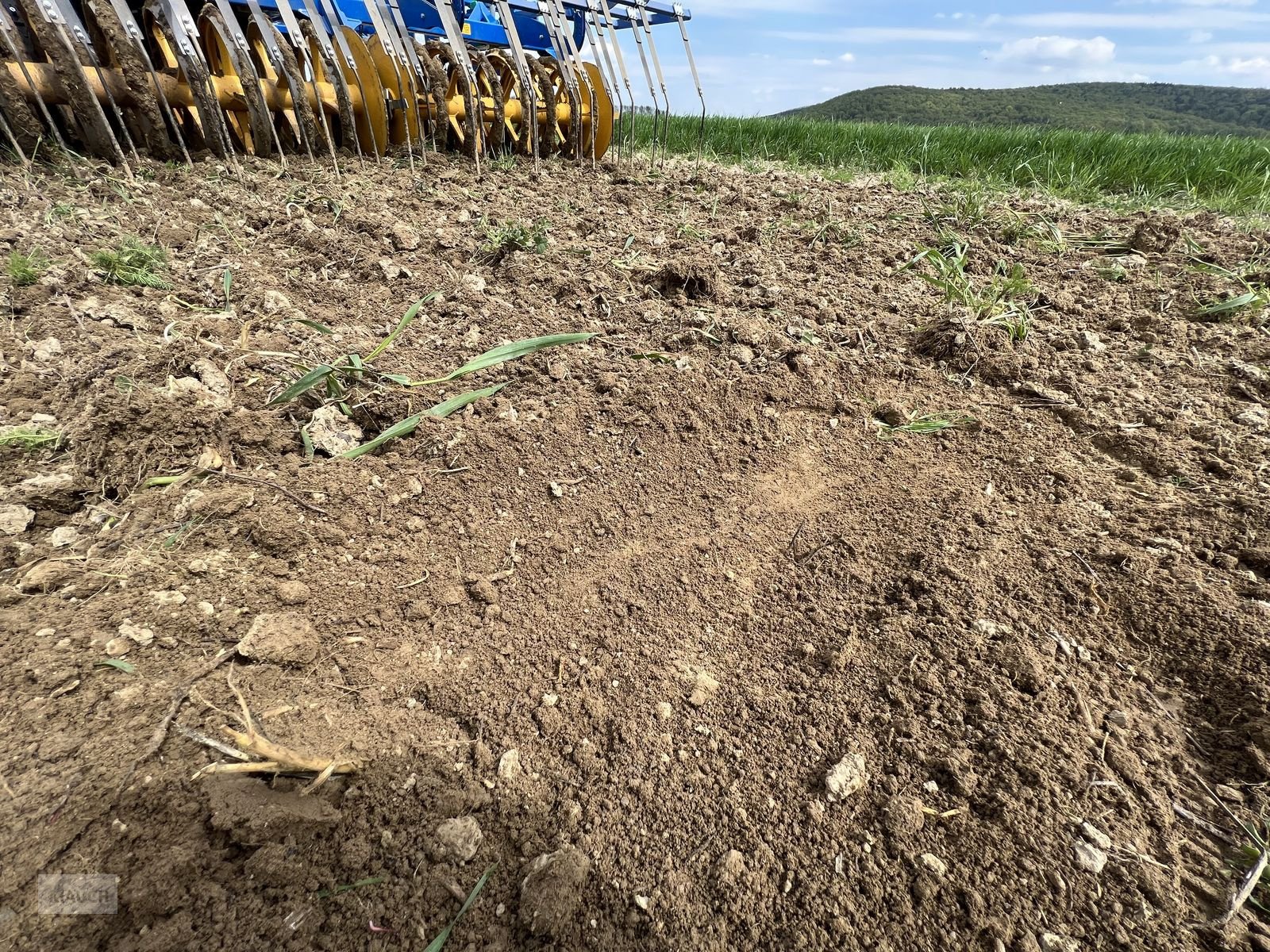 Grubber des Typs Treffler TG615 Präzisions-Grubber, Gebrauchtmaschine in Burgkirchen (Bild 11)