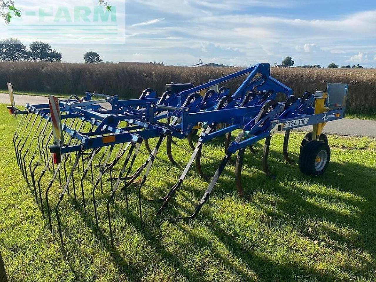 Grubber del tipo Treffler tga 300, Gebrauchtmaschine en BRUCHHAUSEN-VILSEN (Imagen 2)