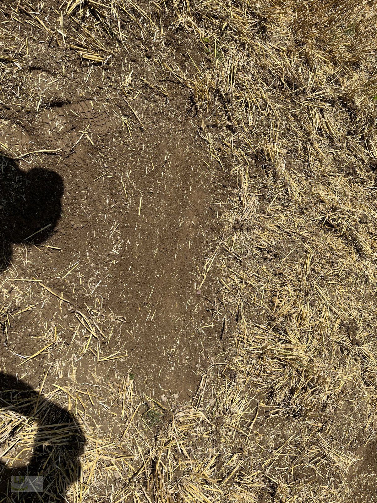 Grubber des Typs Treffler TGA 300, Neumaschine in Aresing (Bild 4)