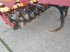 Grubber typu Väderstad TopDown TD 500, Gebrauchtmaschine v Plau am See / OT Klebe (Obrázek 7)