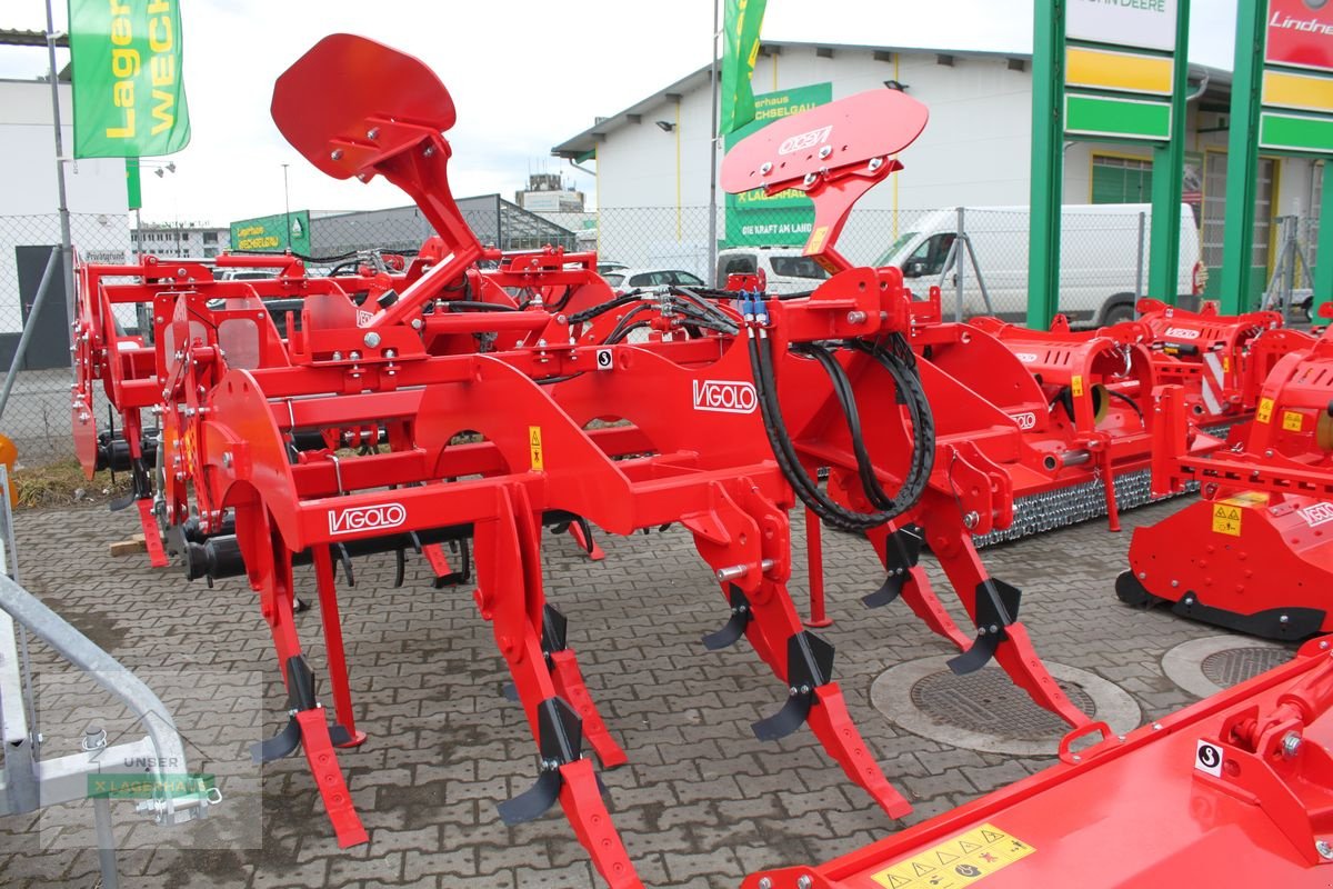 Grubber des Typs Vigolo DIG 780/7, Neumaschine in Hartberg (Bild 1)