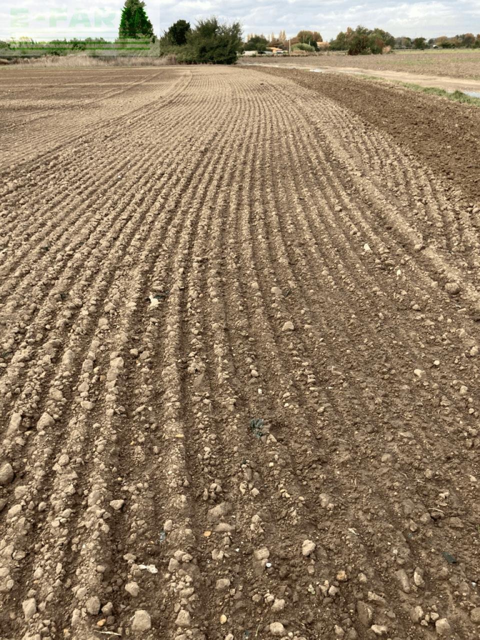 Grubber typu Vogel & Noot terra disc, Gebrauchtmaschine v ST ANDIOL (Obrázek 14)