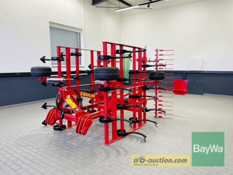 Grubber des Typs Ziegler COMBI EXPERT 4001, Gebrauchtmaschine in Manching (Bild 10)