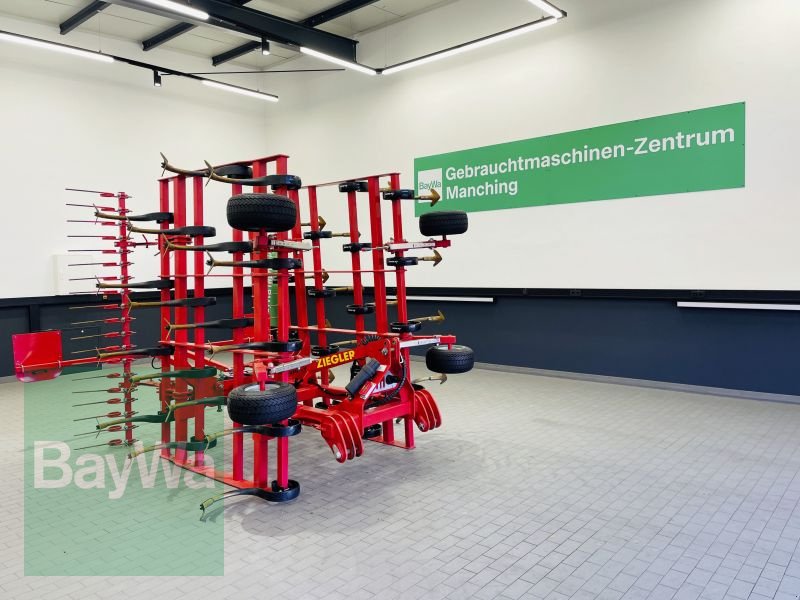 Grubber typu Ziegler COMBI EXPERT 5001, Gebrauchtmaschine w Manching (Zdjęcie 1)