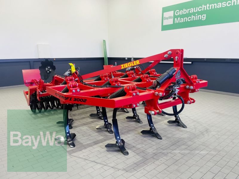 Grubber типа Ziegler FIELD PROFI 3002, Gebrauchtmaschine в Manching (Фотография 3)