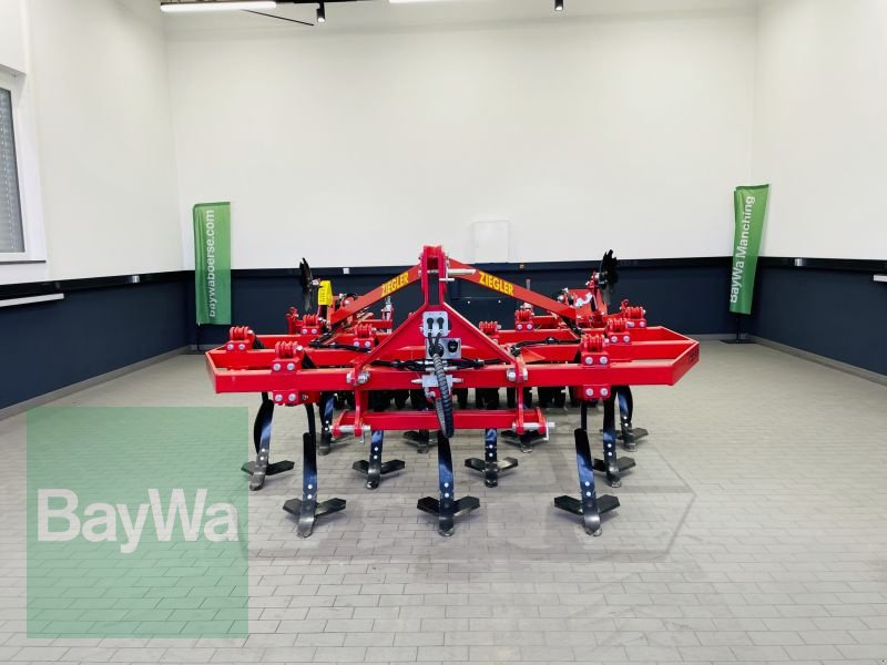 Grubber van het type Ziegler FIELD PROFI 3002, Gebrauchtmaschine in Manching (Foto 11)