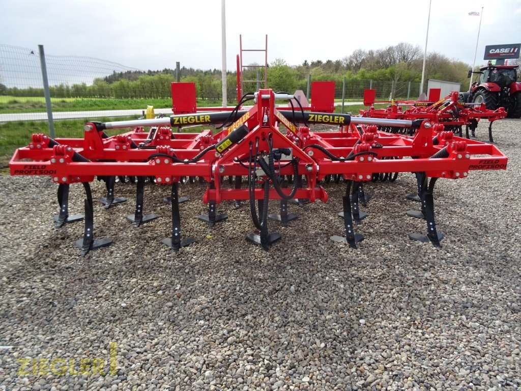 Grubber tipa Ziegler Field Profi 5001, Neumaschine u Pöttmes (Slika 12)