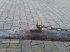 Güllemixer типа Sonstige 3,5m mit Gelenkwelle, Gebrauchtmaschine в Aurolzmünster (Фотография 14)