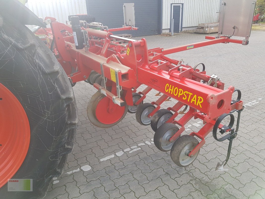 Hackgerät Türe ait Einböck Chopstar, Gebrauchtmaschine içinde Weddingstedt (resim 8)