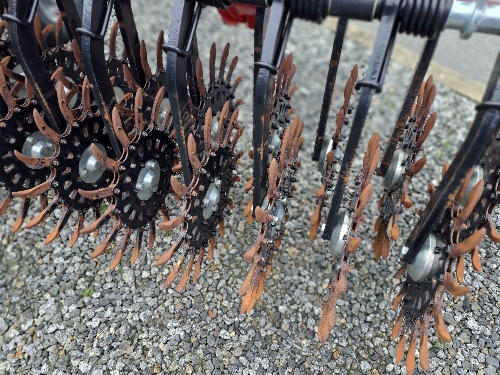 Hackgerät typu Einböck Rotarystar 600, Gebrauchtmaschine v Burkau (Obrázek 4)