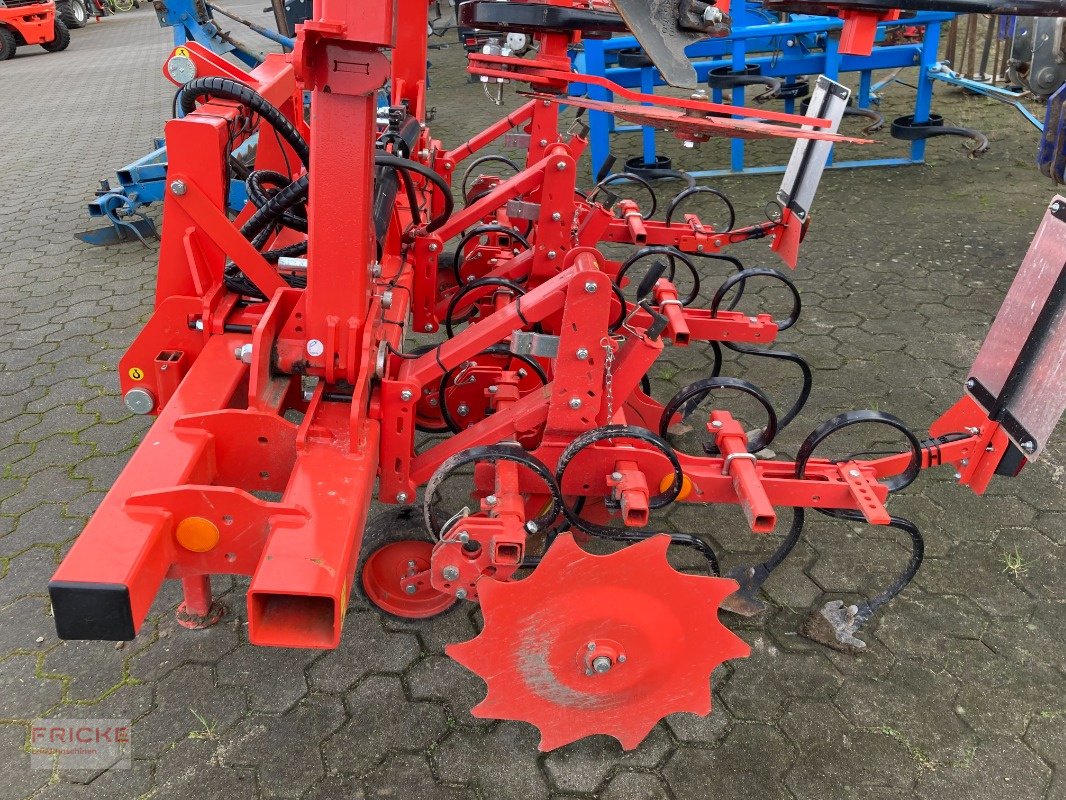 Hackgerät van het type Maschio HS 6-reinig 5m, Gebrauchtmaschine in Bockel - Gyhum (Foto 3)