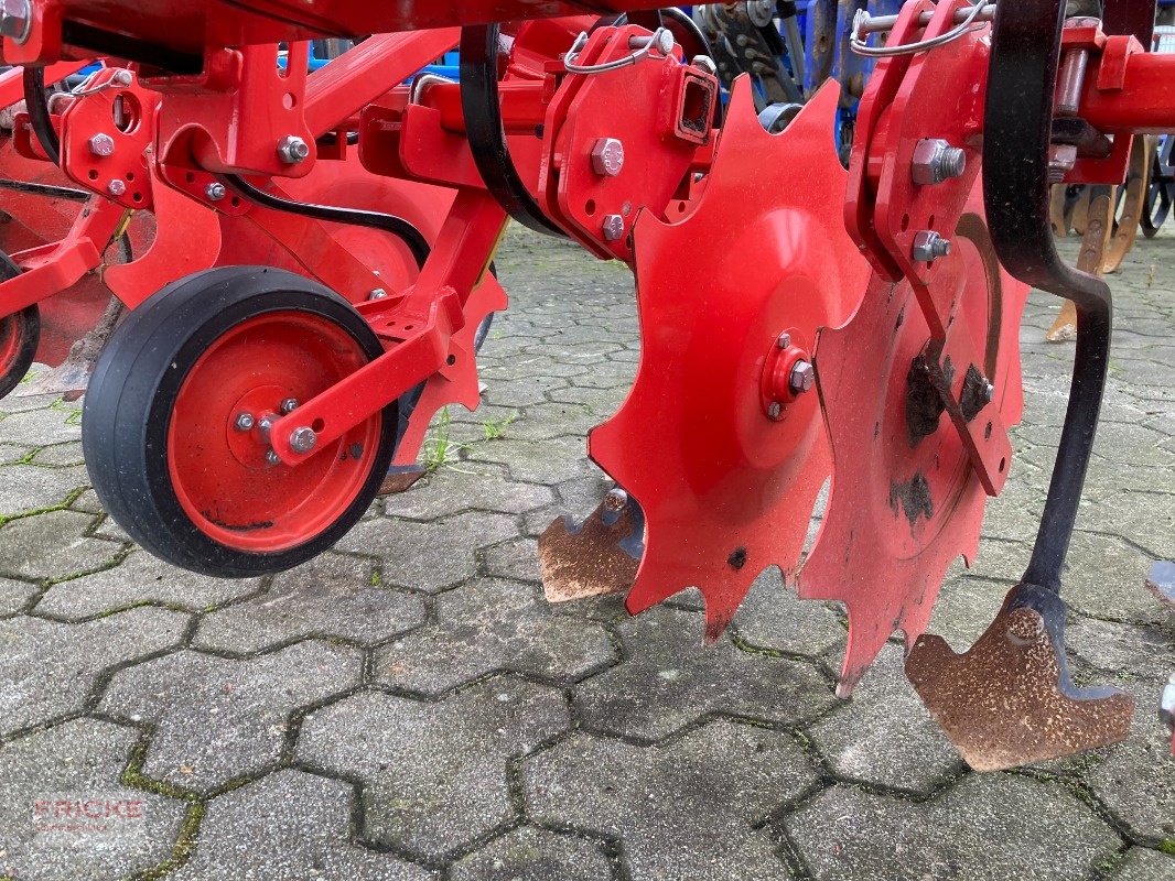 Hackgerät van het type Maschio HS 6-reinig 5m, Gebrauchtmaschine in Bockel - Gyhum (Foto 4)