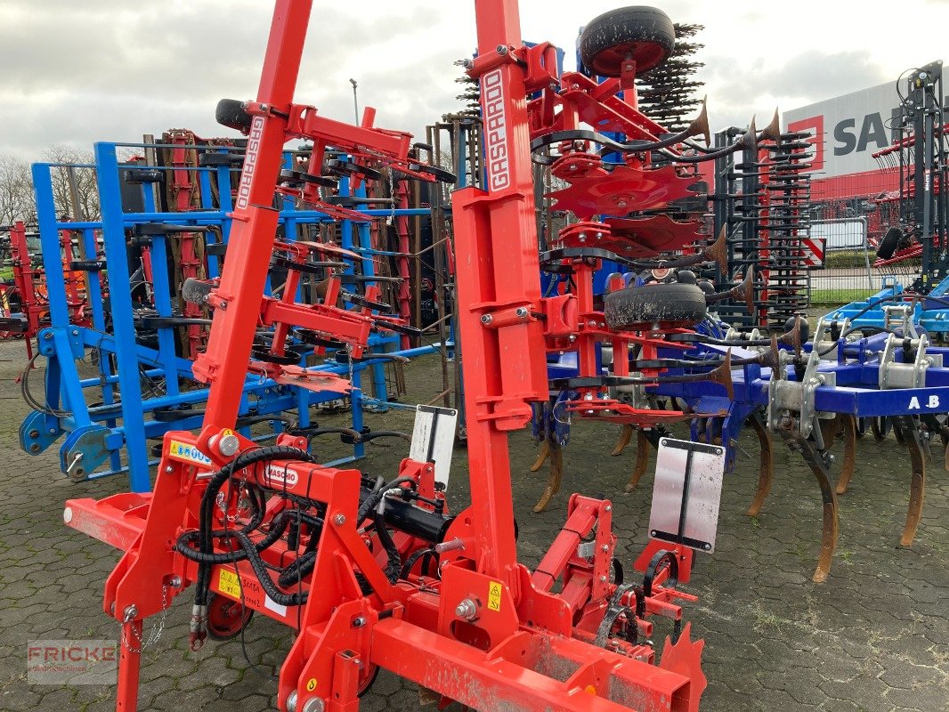 Hackgerät van het type Maschio HS 6-reinig 5m, Gebrauchtmaschine in Bockel - Gyhum (Foto 5)