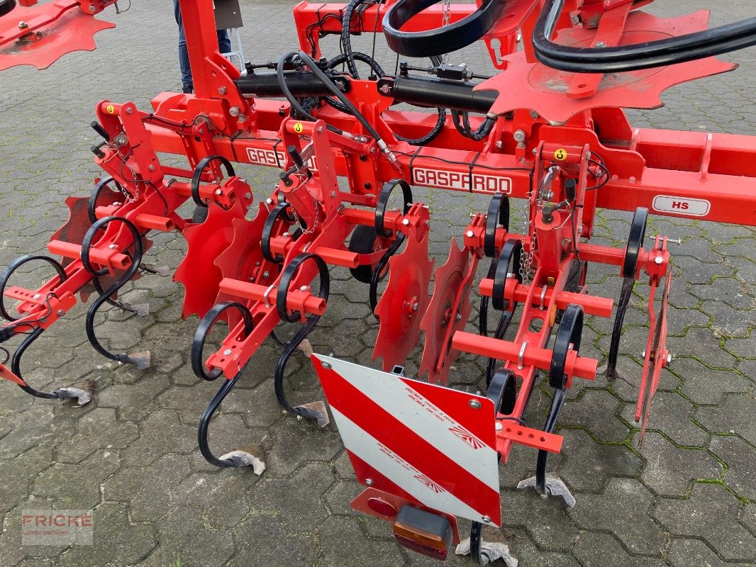 Hackgerät van het type Maschio HS 6-reinig 5m, Gebrauchtmaschine in Bockel - Gyhum (Foto 10)