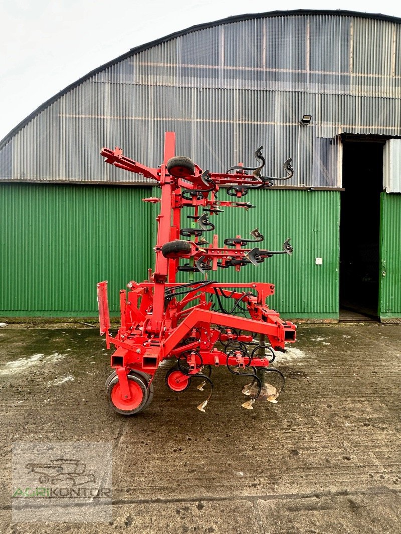 Hackgerät del tipo Maschio HS 6F 70-80 5M, Gebrauchtmaschine en Liebenwalde (Imagen 1)