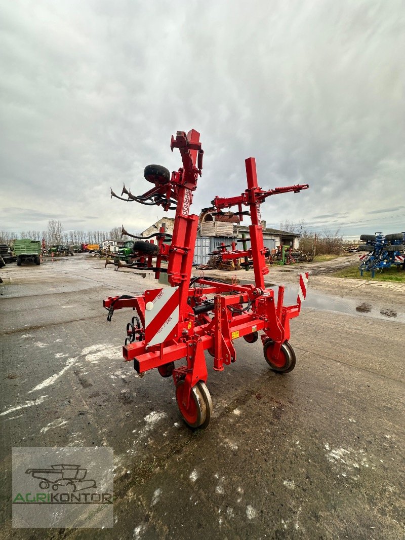 Hackgerät del tipo Maschio HS 6F 70-80 5M, Gebrauchtmaschine en Liebenwalde (Imagen 3)