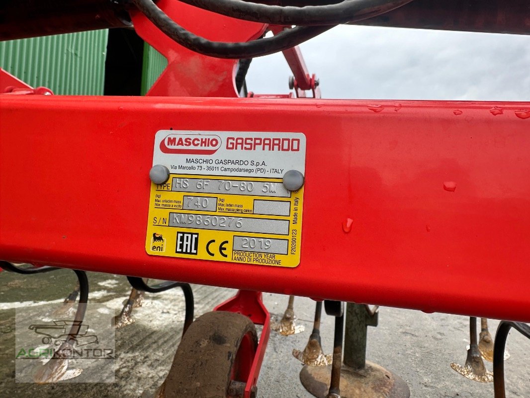 Hackgerät del tipo Maschio HS 6F 70-80 5M, Gebrauchtmaschine en Liebenwalde (Imagen 4)