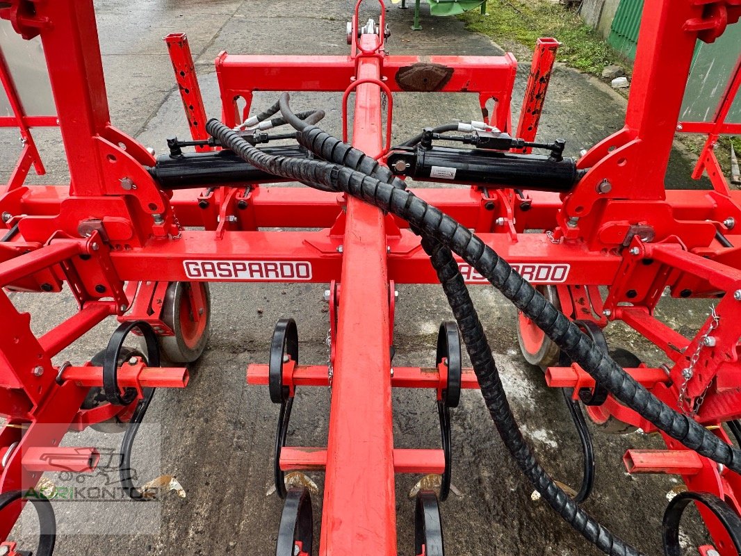 Hackgerät del tipo Maschio HS 6F 70-80 5M, Gebrauchtmaschine en Liebenwalde (Imagen 5)