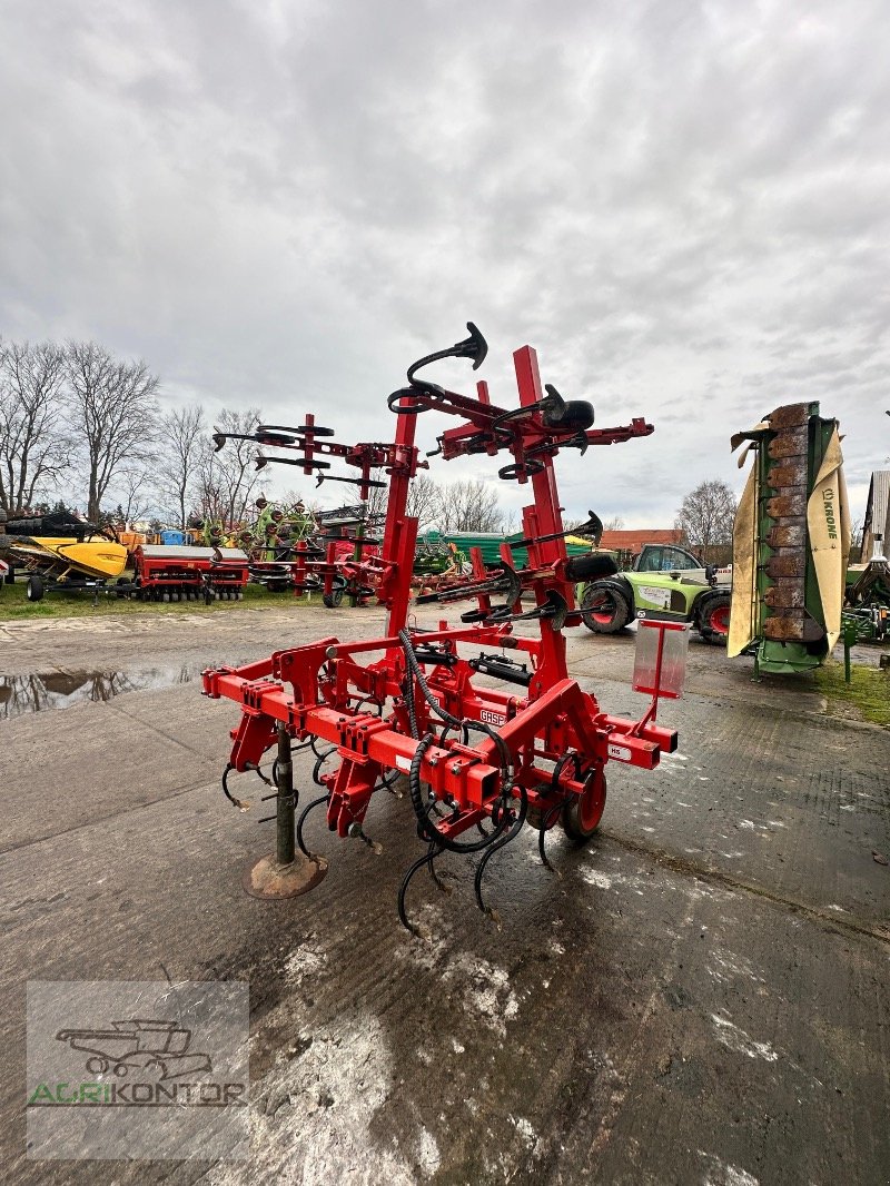 Hackgerät del tipo Maschio HS 6F 70-80 5M, Gebrauchtmaschine en Liebenwalde (Imagen 7)