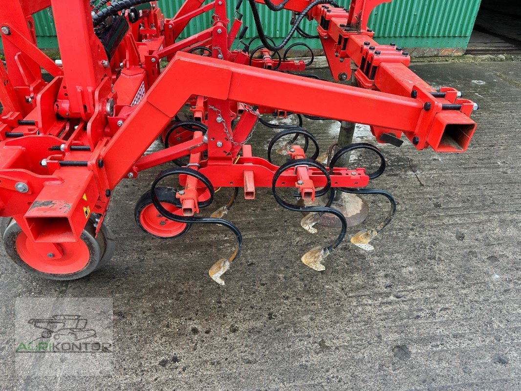 Hackgerät del tipo Maschio HS 6F 70-80 5M, Gebrauchtmaschine en Liebenwalde (Imagen 10)